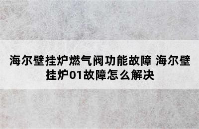 海尔壁挂炉燃气阀功能故障 海尔壁挂炉01故障怎么解决